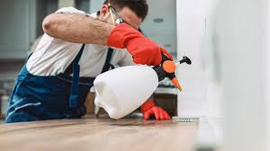 Best Pest Control for Multi-Family Homes  in East Farmingdale, NY